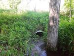 Culvert Crossing, Wayne, Maine