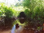 Culvert Crossing, Wayne, Maine