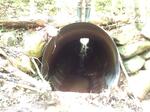 Culvert Crossing, Jay, Maine