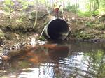 Culvert Crossing, Jay, Maine