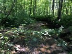 Culvert Crossing, Jay, Maine