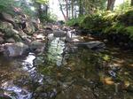Culvert Crossing, Greenwood, Maine