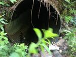 Culvert Crossing, Greene, Maine