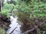 Culvert Crossing, Wayne, Maine