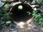 Culvert Crossing, Gilead, Maine