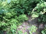 Culvert Crossing, Gilead, Maine