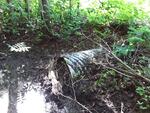 Culvert Crossing, Hammond, Maine