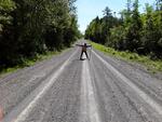 Culvert Crossing, Hammond, Maine