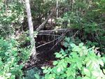 Culvert Crossing, Hammond, Maine