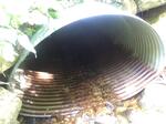 Culvert Crossing, Jay, Maine