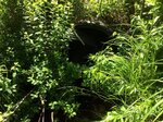 Culvert Crossing, Turner, Maine