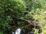 Culvert Crossing, Albany Twp, Maine