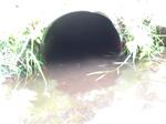 Culvert Crossing, Bethel, Maine