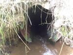 Culvert Crossing, Bethel, Maine
