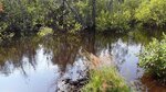 Culvert Crossing, Eagle Lake, Maine