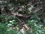 Culvert Crossing, Mason Twp, Maine