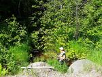 Multiple Culvert Crossing, Livermore Falls, Maine