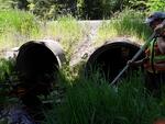 Multiple Culvert Crossing, Livermore Falls, Maine