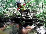 Multiple Culvert Crossing, Fayette, Maine