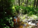 Multiple Culvert Crossing, Fayette, Maine