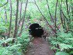Culvert Crossing, Wayne, Maine