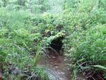 Culvert Crossing, Wayne, Maine