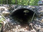 Culvert Crossing, Turner, Maine