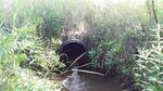 Culvert Crossing, Jay, Maine
