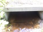 Culvert Crossing, Greenwood, Maine