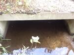 Culvert Crossing, Greenwood, Maine
