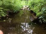 Culvert Crossing, Greenwood, Maine