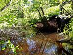 Culvert Crossing, Livermore Falls, Maine