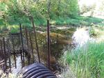 Culvert Crossing, Livermore Falls, Maine