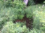 Culvert Crossing, Livermore, Maine