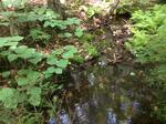 Culvert Crossing, Mason Twp, Maine