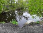 Multiple Culvert Crossing, Greene, Maine
