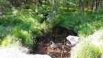 Culvert Crossing, Leeds, Maine