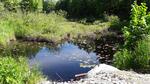 Culvert Crossing, Leeds, Maine