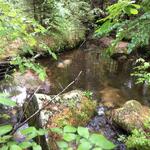 Culvert Crossing, Bethel, Maine