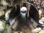 Culvert Crossing, Bethel, Maine