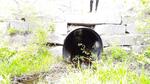 Culvert Crossing, Leeds, Maine