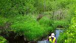 Culvert Crossing, Leeds, Maine