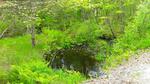 Multiple Culvert Crossing, Leeds, Maine