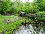 Culvert Crossing, Fayette, Maine