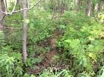 Culvert Crossing, Albany Twp, Maine