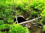 Culvert Crossing, Vienna, Maine
