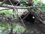 Culvert Crossing, Vienna, Maine