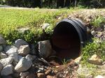 Culvert Crossing, Minot, Maine