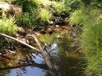 Culvert Crossing, Mason Twp, Maine