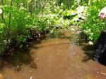 Culvert Crossing, Leeds, Maine